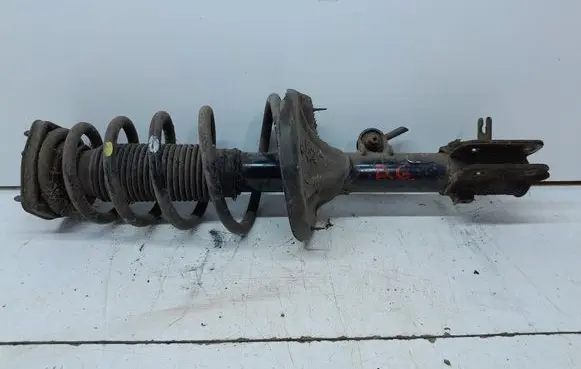 KIA Sportage Rear shock absorber with coil spring 553612E501