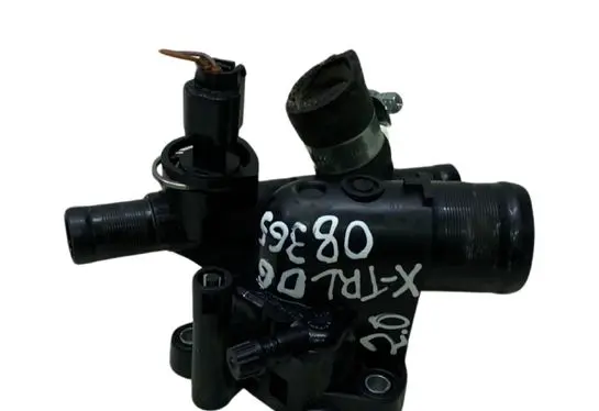 Thermostat/thermostat housing