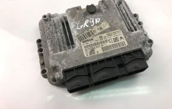 Peugeot 206 Engine control unit/module 9656709780