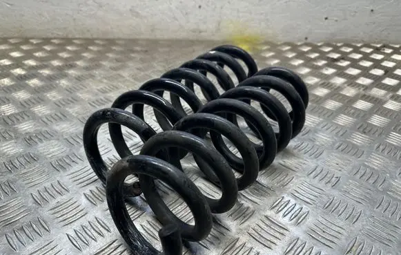 Rear coil spring