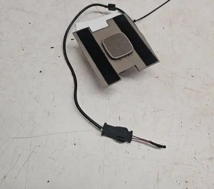 Front door speaker