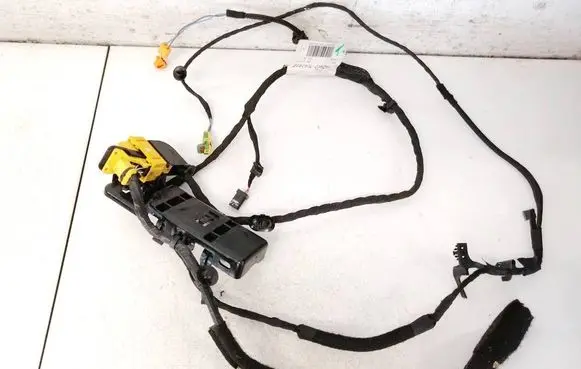 Renault Scenic III - Grand scenic III Other wiring loom 44382750000 443827500-00