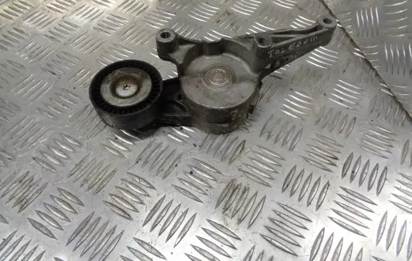Seat Toledo II (1M) Alternator belt tensioner pulley 