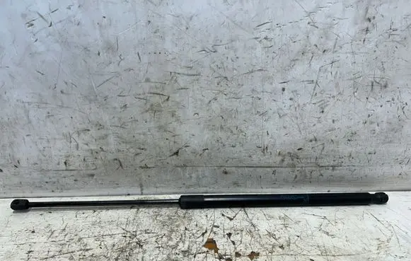 Opel Insignia A Tailgate/trunk strut/damper 315005777