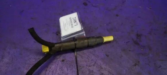 Volkswagen PASSAT B5 Fuel injector 028130201T