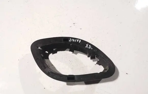 Other rear door trim element