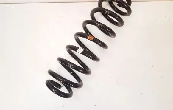 Toyota RAV 4 (XA50) Rear coil spring 4823142730