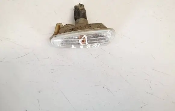 Front fender indicator light