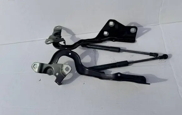 Renault Scenic IV - Grand scenic IV Engine bonnet/hood hinges 654003758R