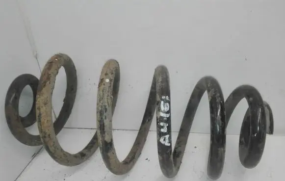 Audi A4 S4 B7 8E 8H Rear coil spring