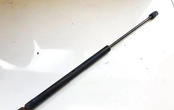 Tailgate/trunk strut/damper