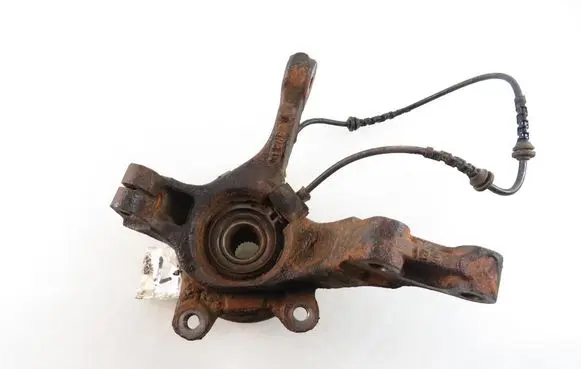 Dacia Sandero Front wheel hub spindle knuckle