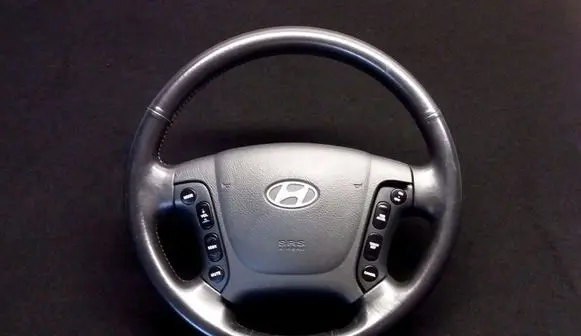 Hyundai Santa Fe Steering wheel 561002B000