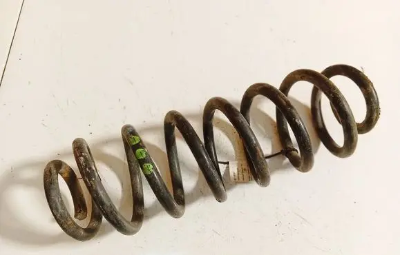 Volkswagen Tiguan Rear coil spring 