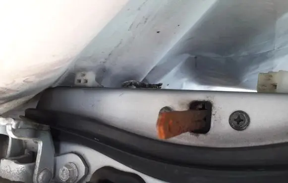 Rear door check strap stopper