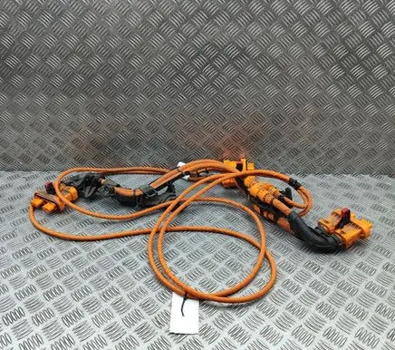 Skoda Enyaq iV Other wiring loom 1EA971013M 1EA013V1