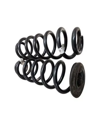Rear coil spring