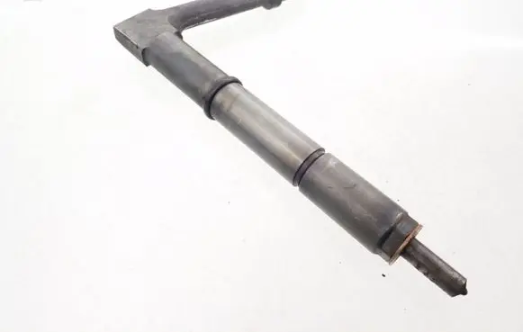 Nissan Almera Tino Fuel injector 1202Z484391