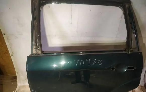 Ford S-MAX Rear door