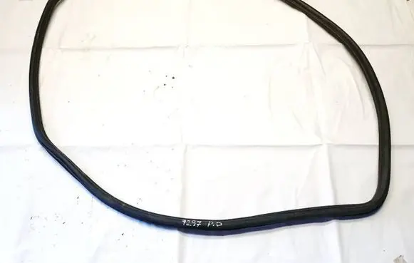 Land Rover Range Rover Evoque L551 Rubber seal front coupe door 