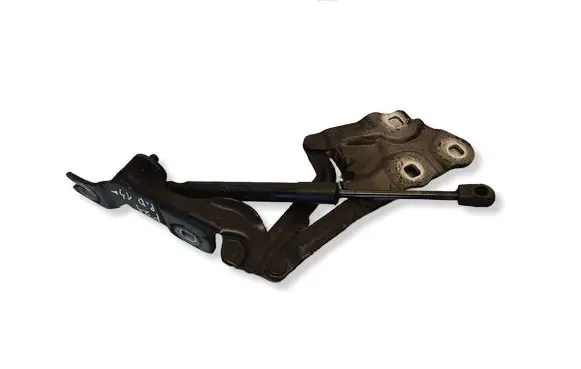 BMW X3 F25 Engine bonnet/hood hinges 7210730