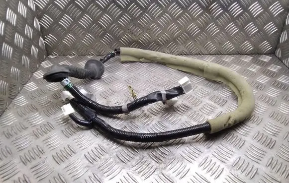 Nissan Leaf I (ZE0) Tailgate/trunk wiring harness 240513NA1A