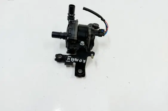 Hyundai Kona II Electric auxiliary coolant/water pump 250405S2B1
