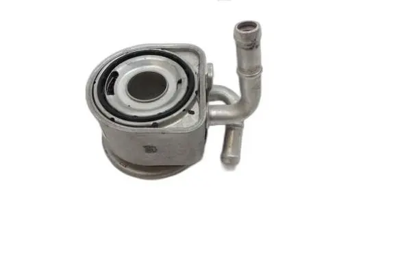 Hyundai Kona I Engine oil radiator 26410-07001