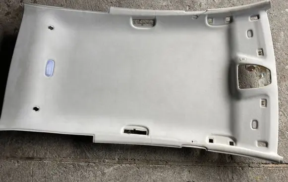 Mercedes-Benz B W245 Headlining A1696904750