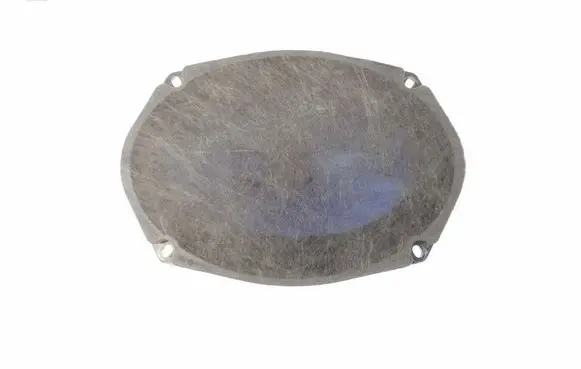 Chrysler 300C Front door speaker 52851560AA