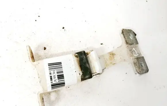 Renault Kangoo II Rear door lower hinge 117113602b