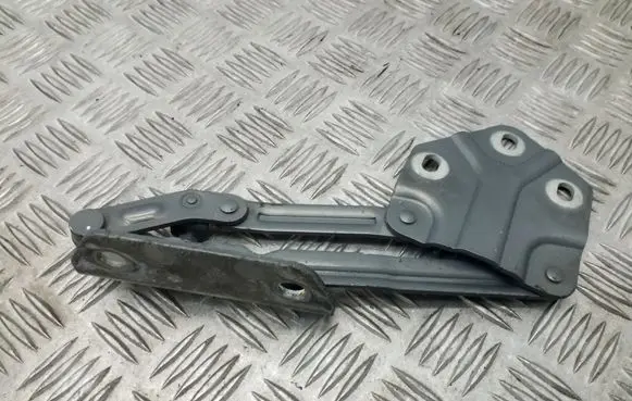 Volkswagen Touran I Tailgate/trunk/boot hinge 1T0823302