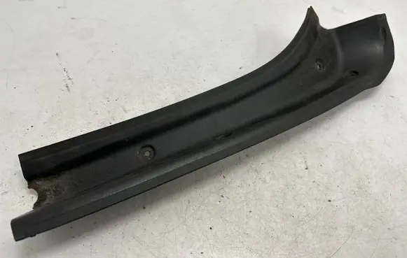 Rear/tail light trim molding