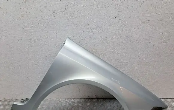 Renault Laguna II Fender 8201094795 8200295804