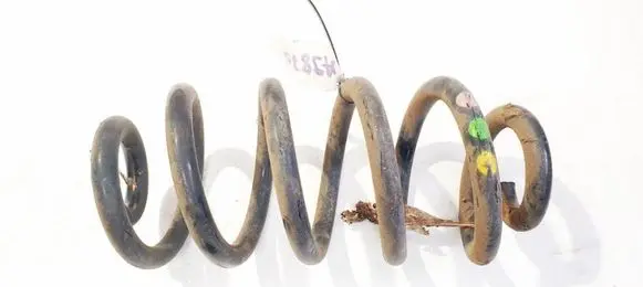 Rear coil spring