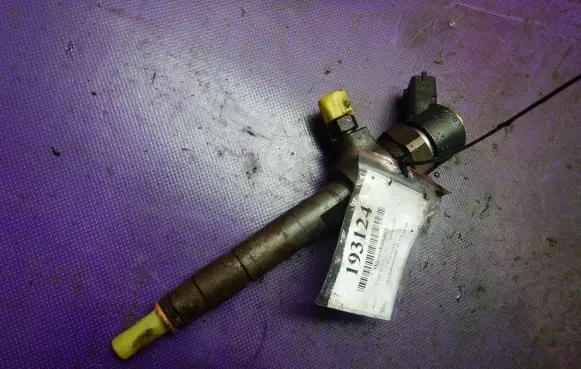 Fiat Punto (188) Fuel injector 0445110019