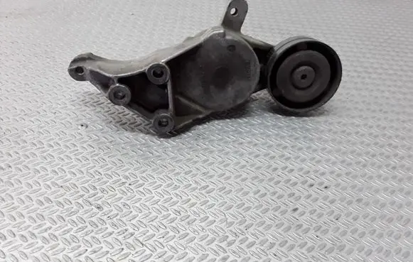 Seat Leon (1M) Generator/alternator belt tensioner 038903315C