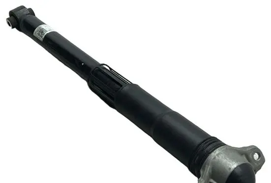 Cupra Terramar Rear shock absorber/damper 5QS513049BK