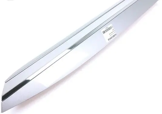 Rear door trim (molding)
