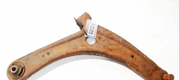 Front lower control arm/wishbone