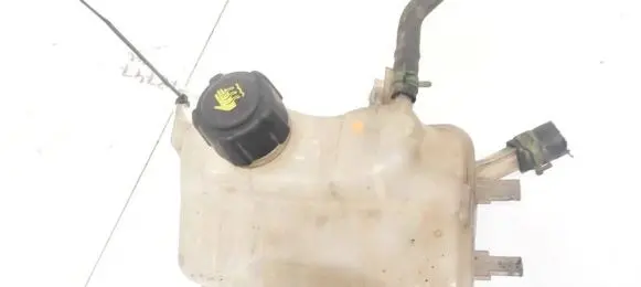 Renault Scenic III - Grand scenic III Coolant expansion tank/reservoir 217100005R