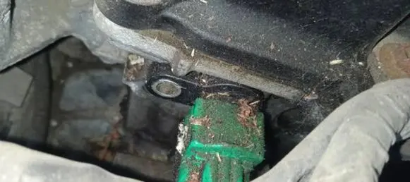 Nissan Murano Z50 Camshaft position sensor