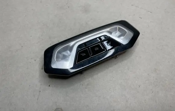 BMW 3 G20 G21 Rear seat light 791081302