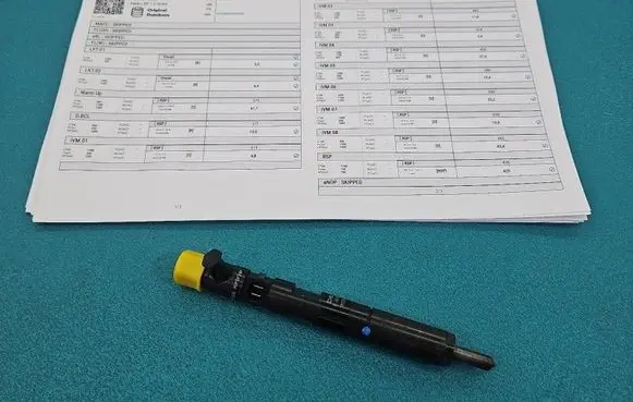 Renault Clio III Fuel injector EJBR05102D IMPRK1584257
