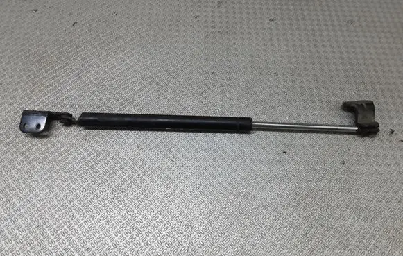 Front bonnet/hood damper/strut