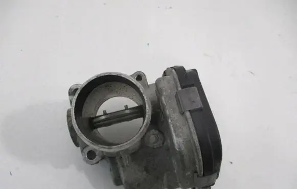 Throttle body valve