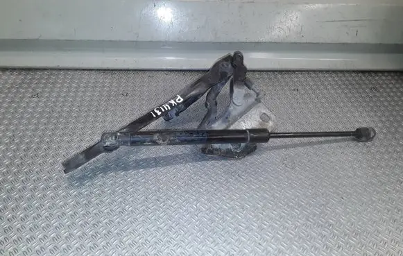 Audi A8 S8 D3 4E Engine bonnet/hood hinges 4E0823301G
