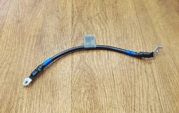 KIA EV6 Negative earth cable (battery) 91661CV000