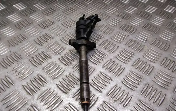 Citroen C4 I Picasso Fuel injector 0445110259 328480