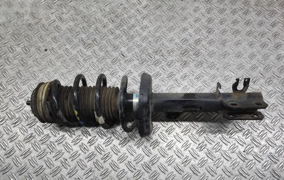 Fiat 500L Front shock absorber with coil spring 22242440